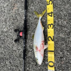 ベイトショアジギ