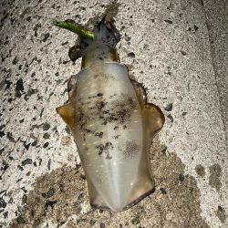 風裏あるかな!?