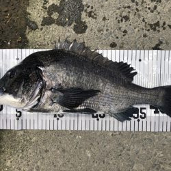 イチノ兄弟、釣果!