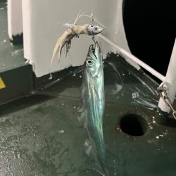 自作ルアーで太刀魚