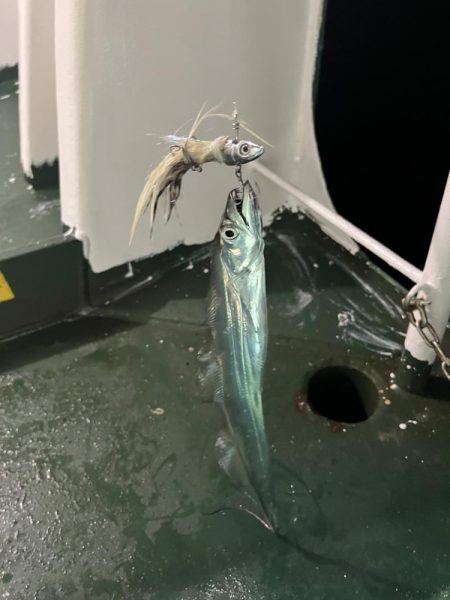 自作ルアーで太刀魚