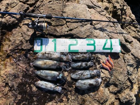 2022 佐渡ヶ島エギング 5回目