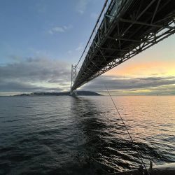 雨上がりのサビキ