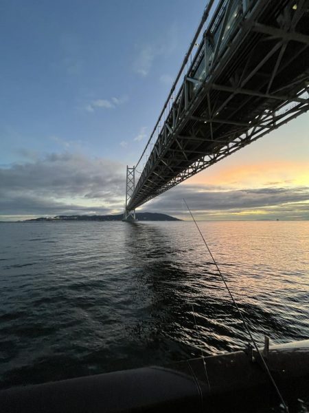 雨上がりのサビキ