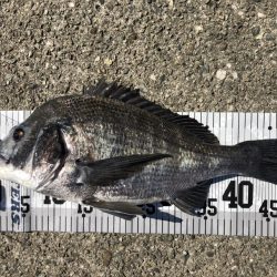 イチノ兄弟、釣果！