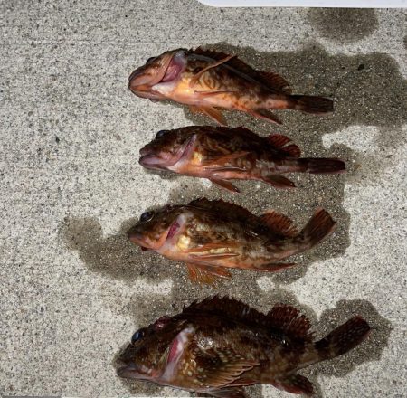 ライトワインド