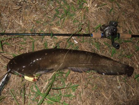 まだ水量が多い