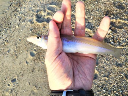 ちょい投げ7目釣り