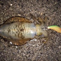 やっぱりスランプ!?