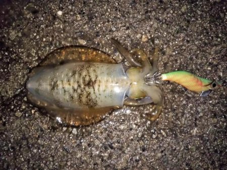 やっぱりスランプ!?