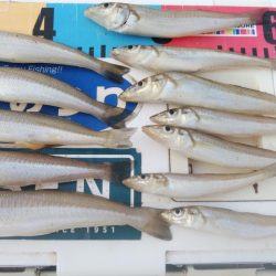 少しづつキスの型が良くなりました