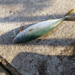 日が上がると暑い