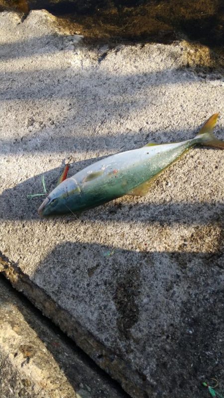 日が上がると暑い