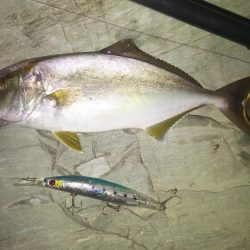 秋の青物狙いpart 1