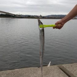 何とか太刀魚ゲット出来ました。