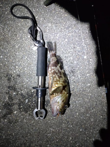 食べれるサイズ