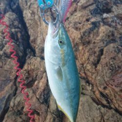 トップでツバス