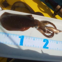 溜まり場見つけられず