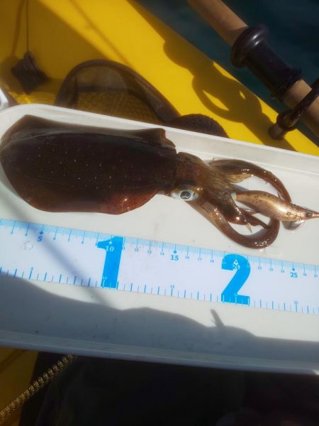 溜まり場見つけられず