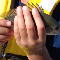 子供2人とフカセ