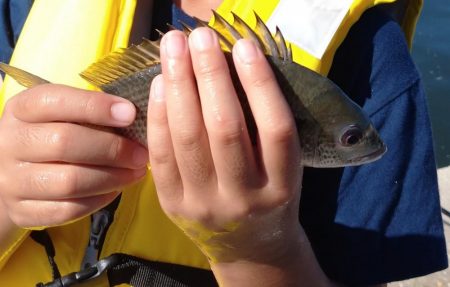 子供2人とフカセ