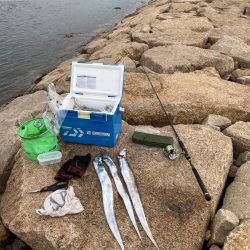 釣れたらデカい