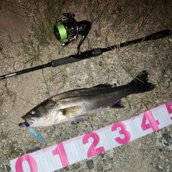 ががっときました。