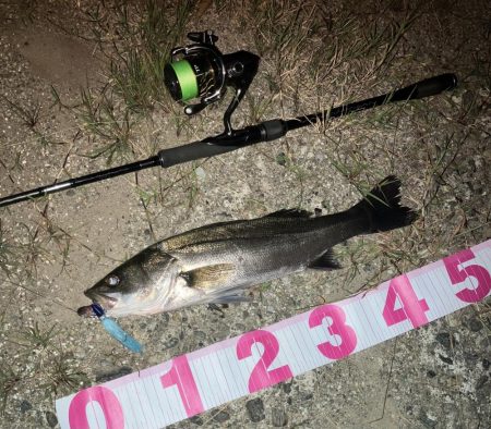 ががっときました。