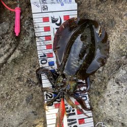 楽しませてもらいました