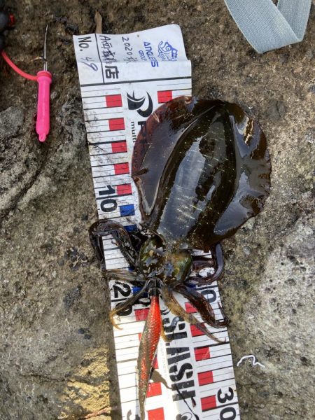 楽しませてもらいました