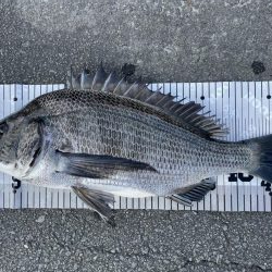 イチノ兄弟、釣果！