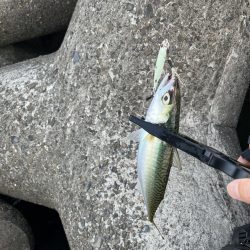 おるのは確か？