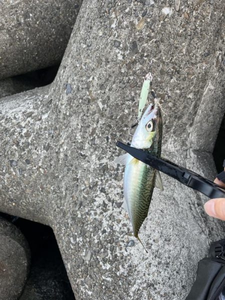 おるのは確か？