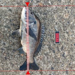 まずまずの釣果