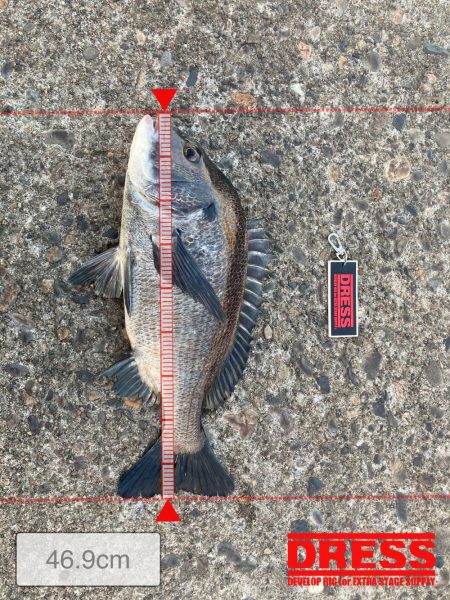 まずまずの釣果