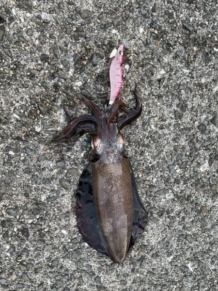 台風まえの晴天