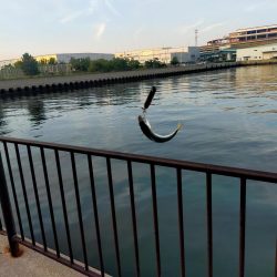 自作レジンバイブでサバ