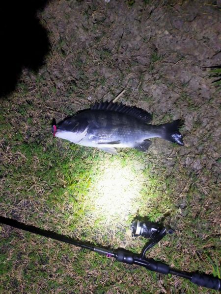 強風の武庫川で