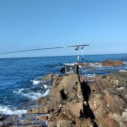 フカセ‥最高ですネ・・