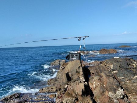 フカセ‥最高ですネ・・