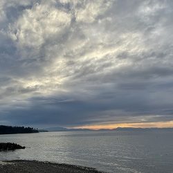 パターンにハマると連発でした！