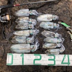 2022 佐渡ヶ島エギング 10回目