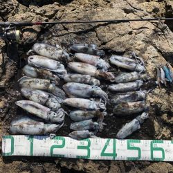 2022 佐渡ヶ島エギング 9回目