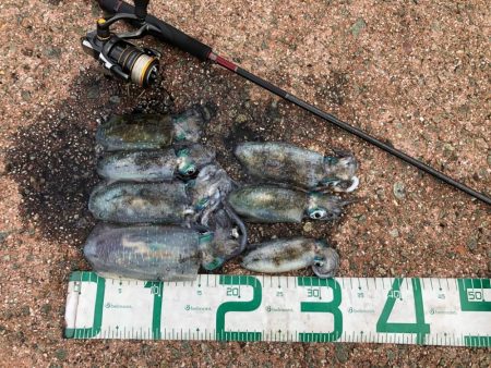 2022 佐渡ヶ島エギング 14回目【9月19日】