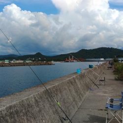 太刀魚いい感じです♪