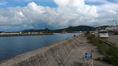 太刀魚いい感じです♪