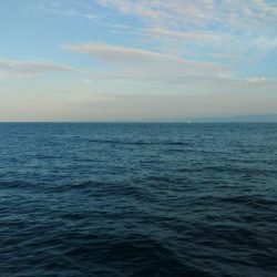 初アオリ&初アイブリGET！！