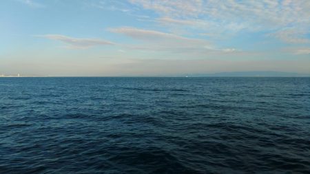 初アオリ&初アイブリGET！！