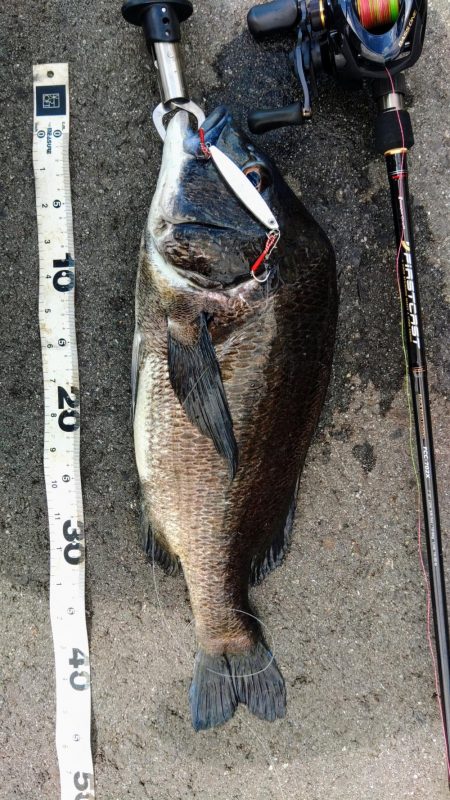 ぶら岸ジギ！！