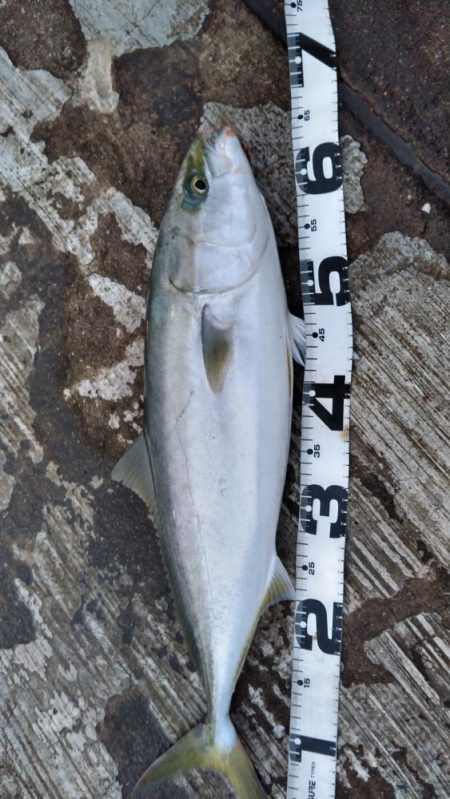 足場が････。